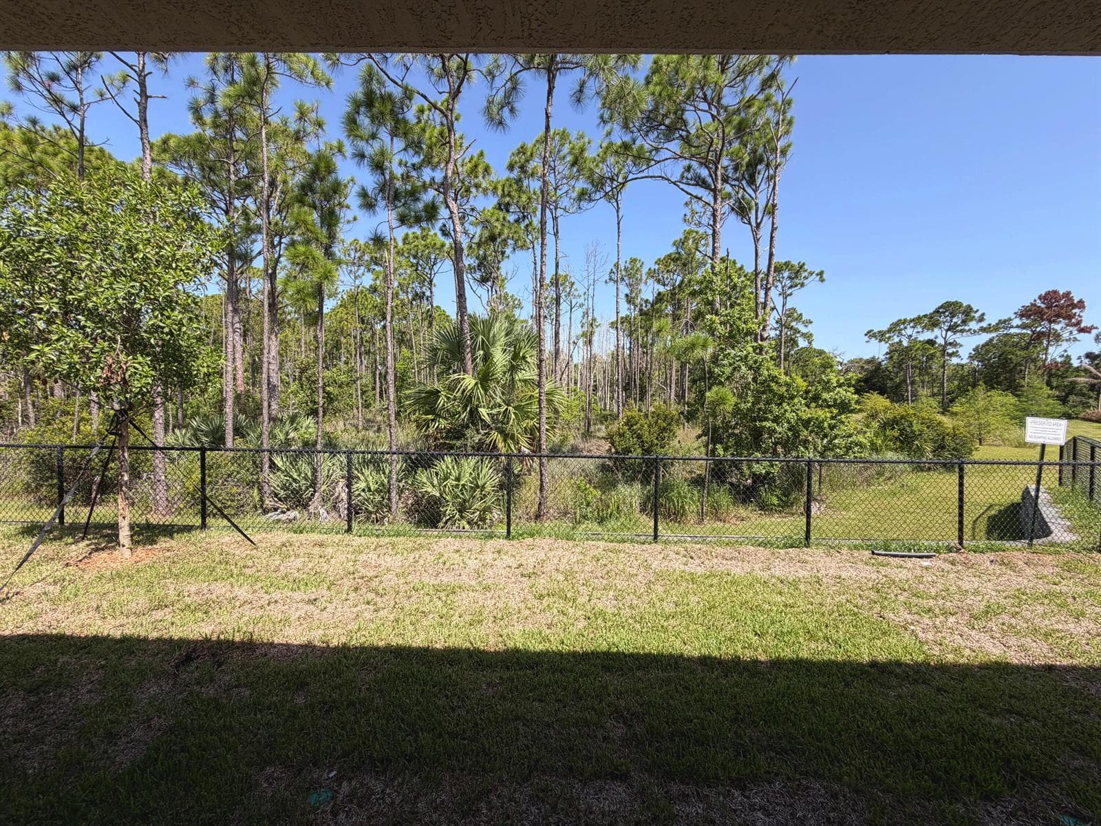 Lot 6 backyard