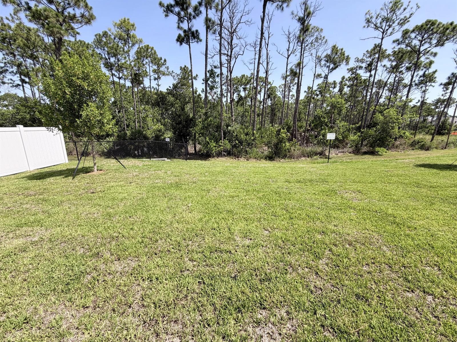 Lot 17 backyard