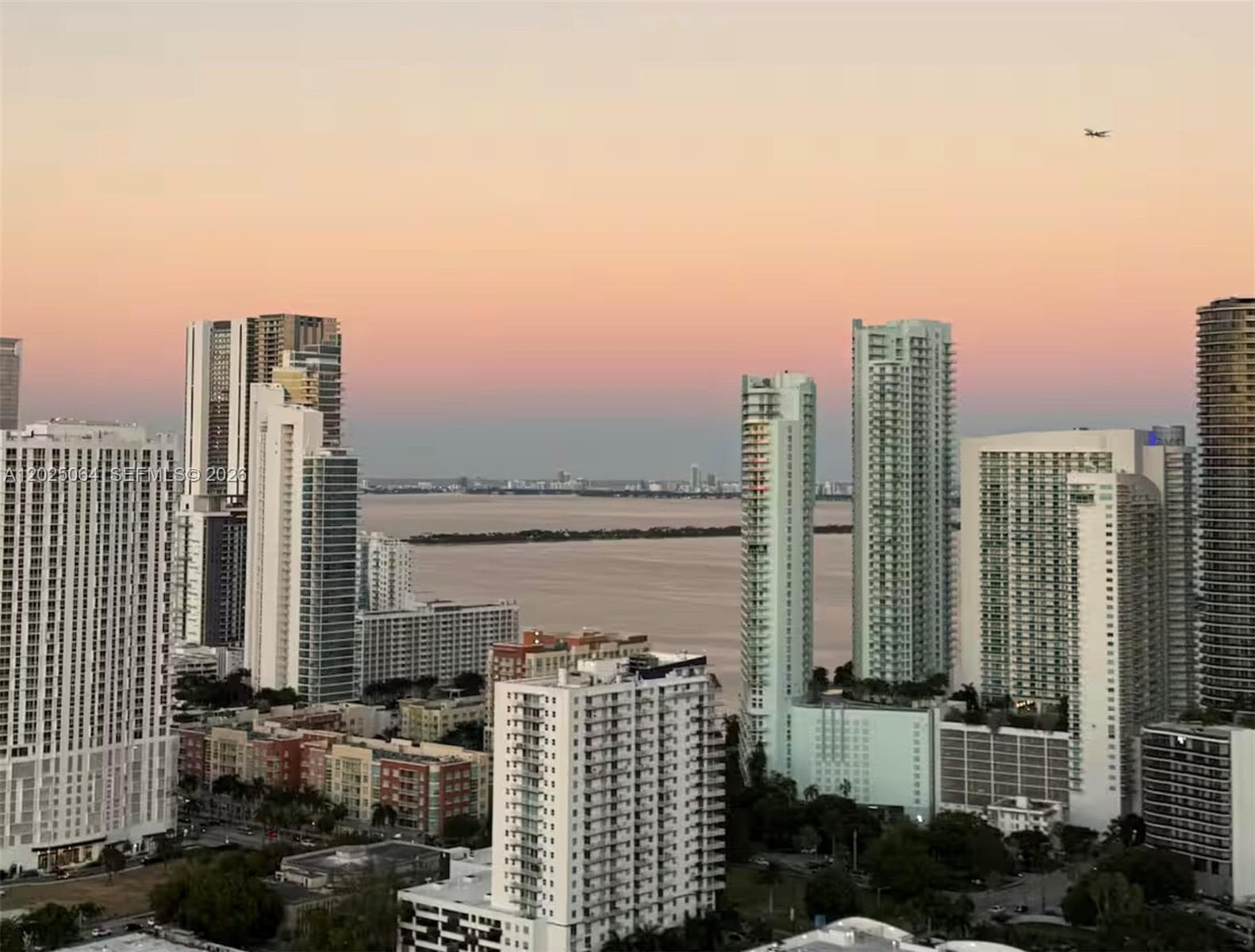 Condo at 1600 NE 1 AVE, Miami, FL